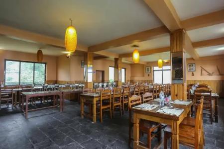 Dhaulagiri View - 14