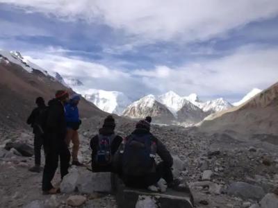 Green Mandala Inn - 6