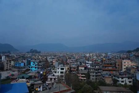 Holy Temple Tree & Chautari Cafe - 34