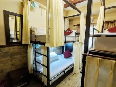 Forest Lake Backpackers' Hostel - 26