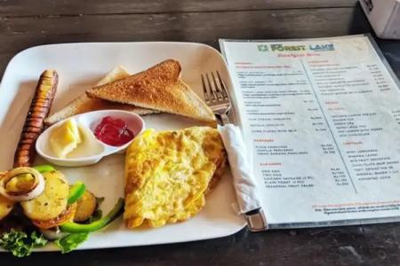 Forest Lake Backpackers' Hostel - 10