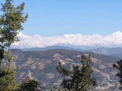 Lala Palace Resort - 8