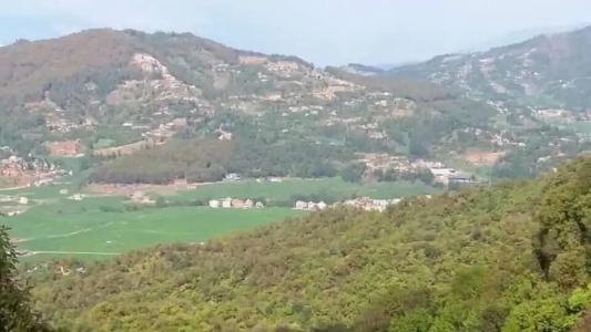 Lala Palace Resort - 15