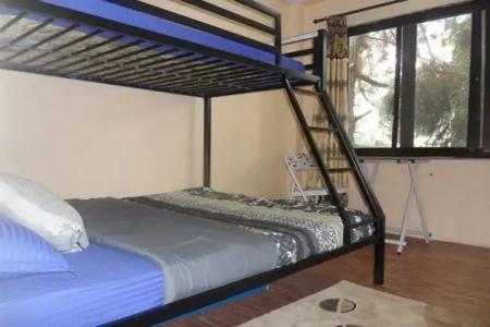 Nepal Inn Bed & Breakfast - 4