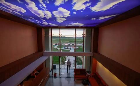 Park Safari Resort - 10