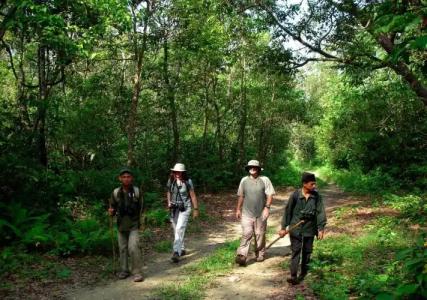 Park Safari Resort - 21