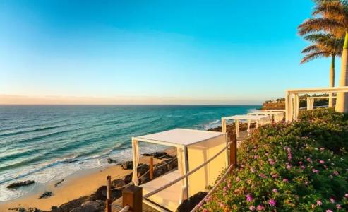 Royal Palm Resort & Spa - Adults Only - 18