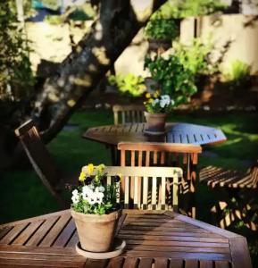 Snorri's Guesthouse - 12