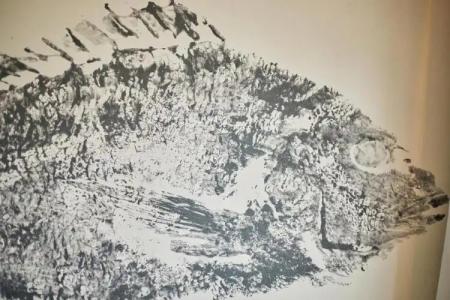 Sofia Alcudia Beach - 19