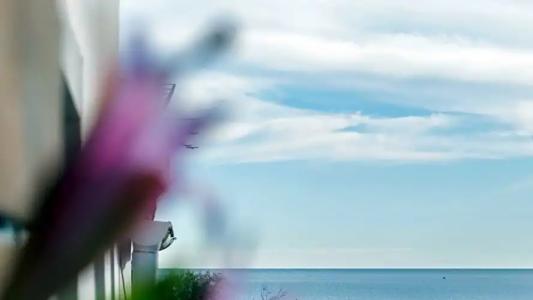 Banana Beach Patacona - 47