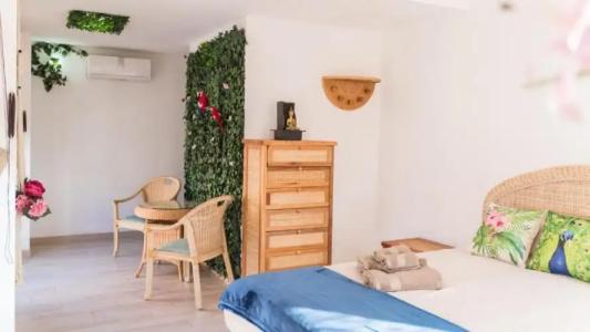 Banana Beach Patacona - 54