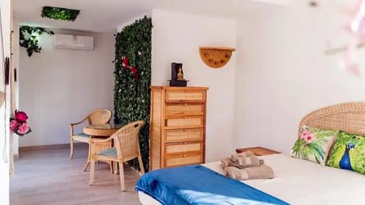 Banana Beach Patacona - 44