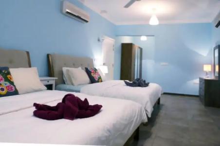 Behlys Boutique - 61