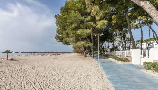 Caprice Playa de Alcudia Apartments - 11