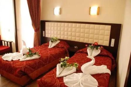 Hakan Minel Resort - 2