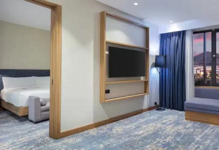 Hilton Garden Inn - 44