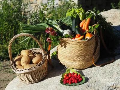 Les Pardines 1819 Mountain suites & SPA - 10