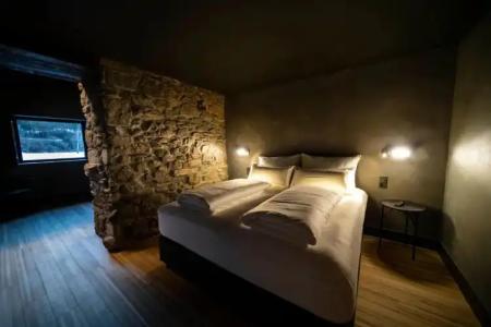 Les Pardines 1819 Mountain suites & SPA - 39