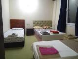 Standard Quadruple room with mountain view