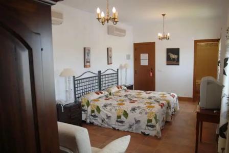 Rural Valsequillo - 55