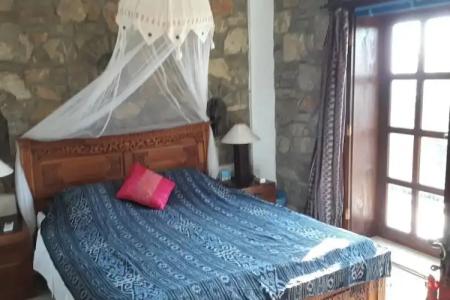 Lazy Lizard Boutique-Hotel - 27