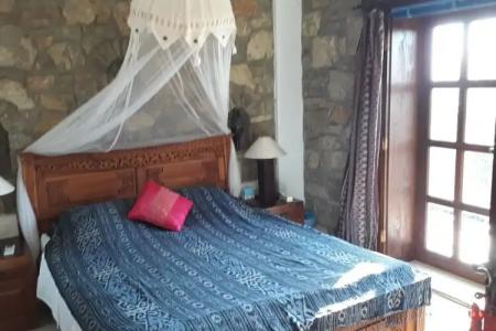 Lazy Lizard Boutique-Hotel - 5