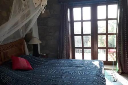 Lazy Lizard Boutique-Hotel - 2