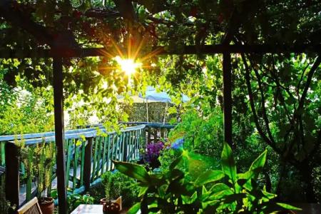 Lazy Lizard Boutique-Hotel - 13