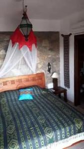 Lazy Lizard Boutique-Hotel - 30