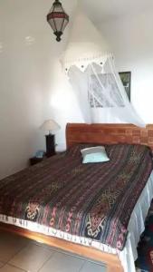 Lazy Lizard Boutique-Hotel - 28