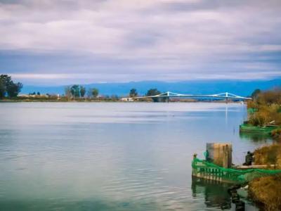 Royal Delta 41210 - 20