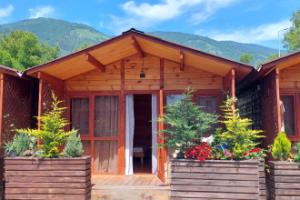 A.L.A.S. Hotel, Gagra