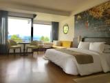 Luxury Double Suite with balcony and with mountain view