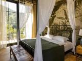 Deluxe Double room with mountain view