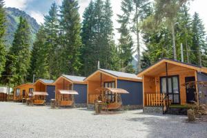 Euro house "WOLF, Teberda