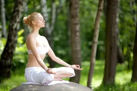 Mount Ida Detox Spa & Health - Adults Only - 14