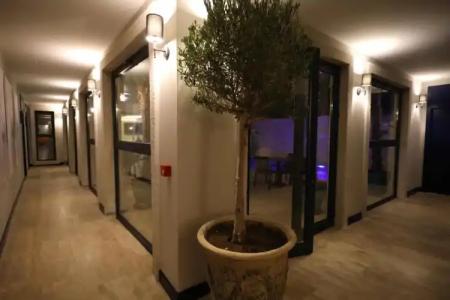 Ariel Alaçatı - 13