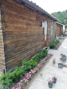 Lime Tree Houses - 32