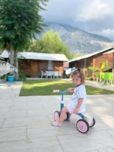 Lime Tree Houses - 46