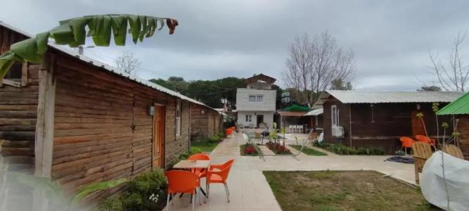 Lime Tree Houses - 29