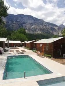 Lime Tree Houses - 16