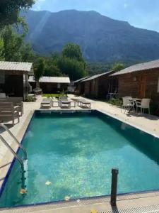 Lime Tree Houses - 9