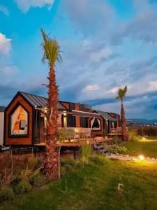 Albizia Boutique - 31