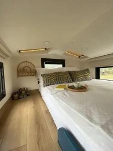 Albizia Boutique - 4