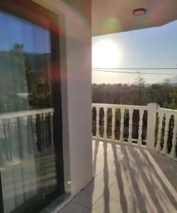 Albizia Boutique - 13