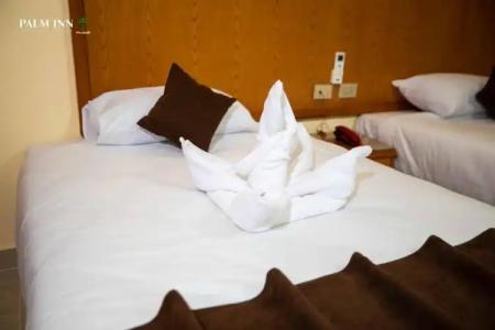 Palm Inn Hurghda - 106