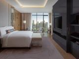 Executive Double Suite with city view