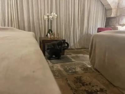 Palazzo Pisani Malta - 14