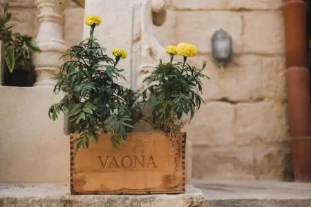 Talbot and Bons Boutique Bed & Breakfast - 51