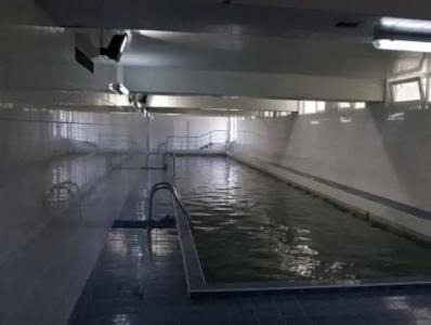 Frederic Joliot Curie - 11